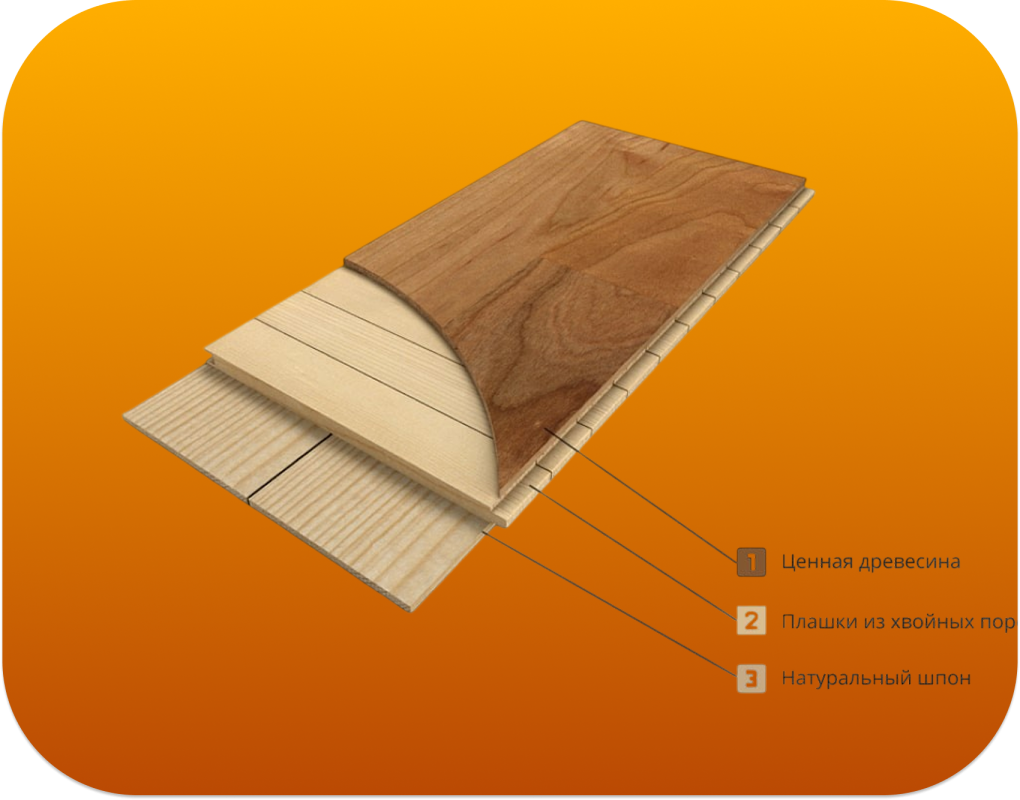 Главная Главная